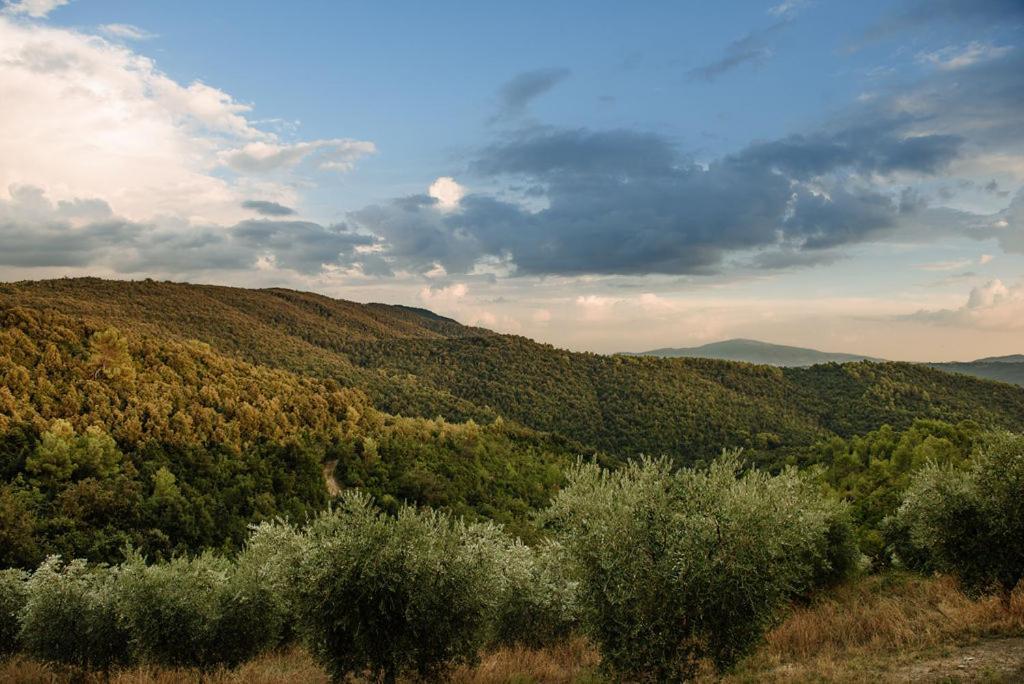 Tenuta Di Forte Sorgnano Gualdo Cattaneo Kültér fotó