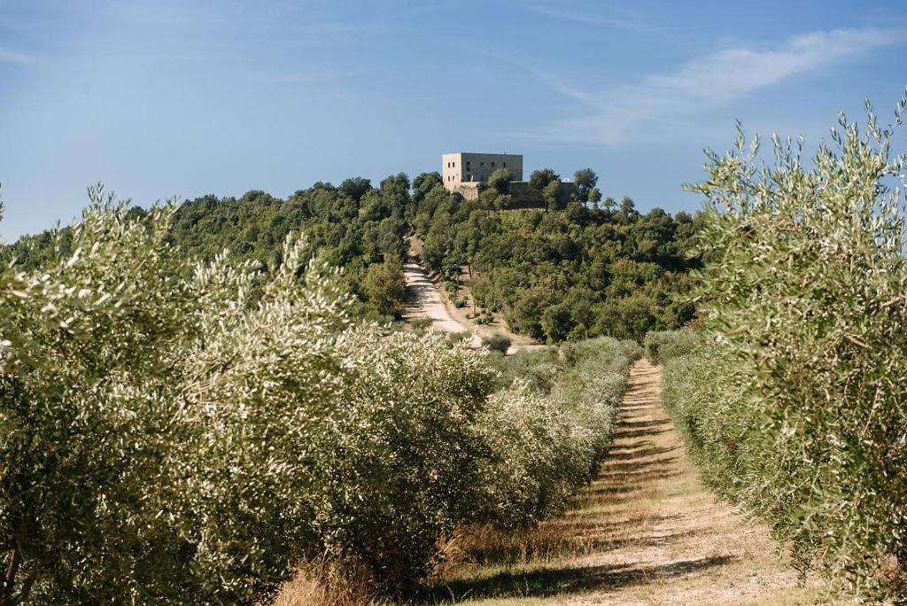 Tenuta Di Forte Sorgnano Gualdo Cattaneo Kültér fotó