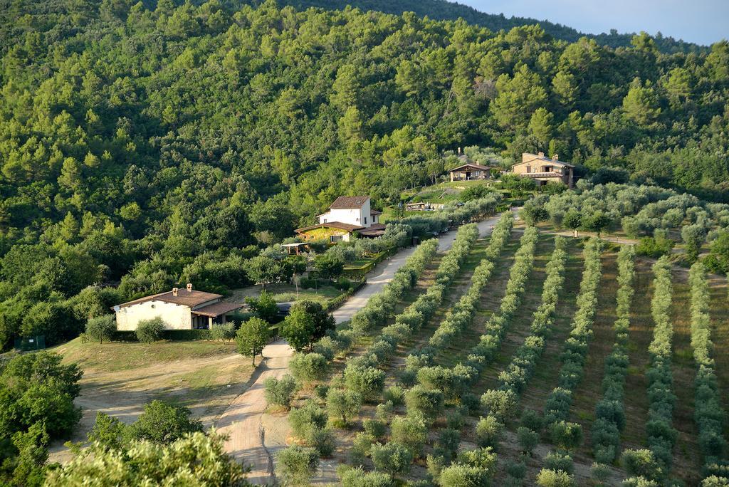 Tenuta Di Forte Sorgnano Gualdo Cattaneo Kültér fotó